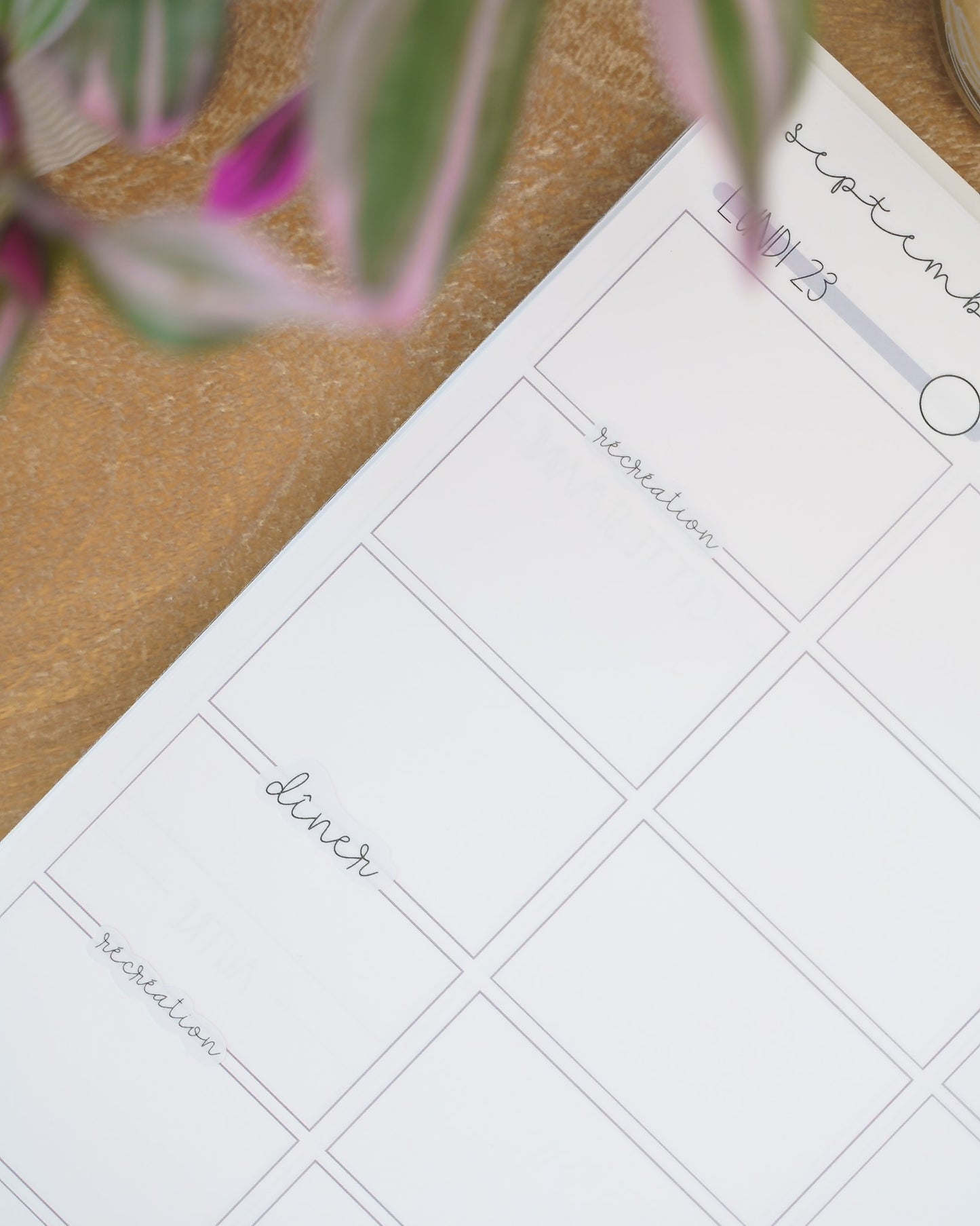 Grande feuille - Dîner