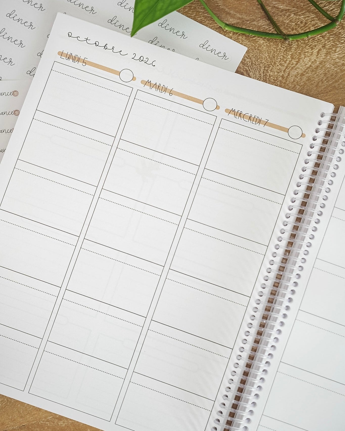 Planificateur primaire