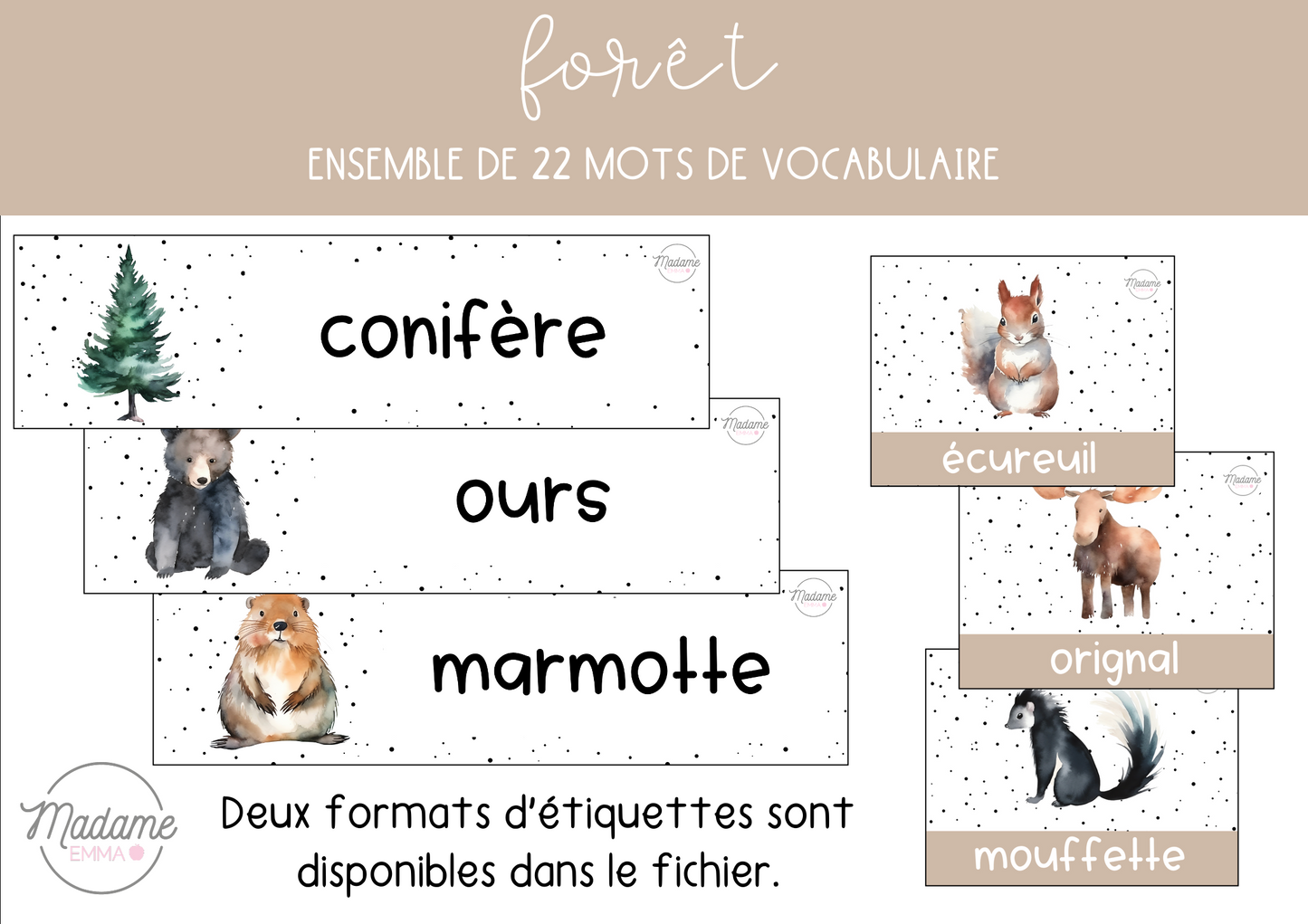 Vocabulaire - Forêt