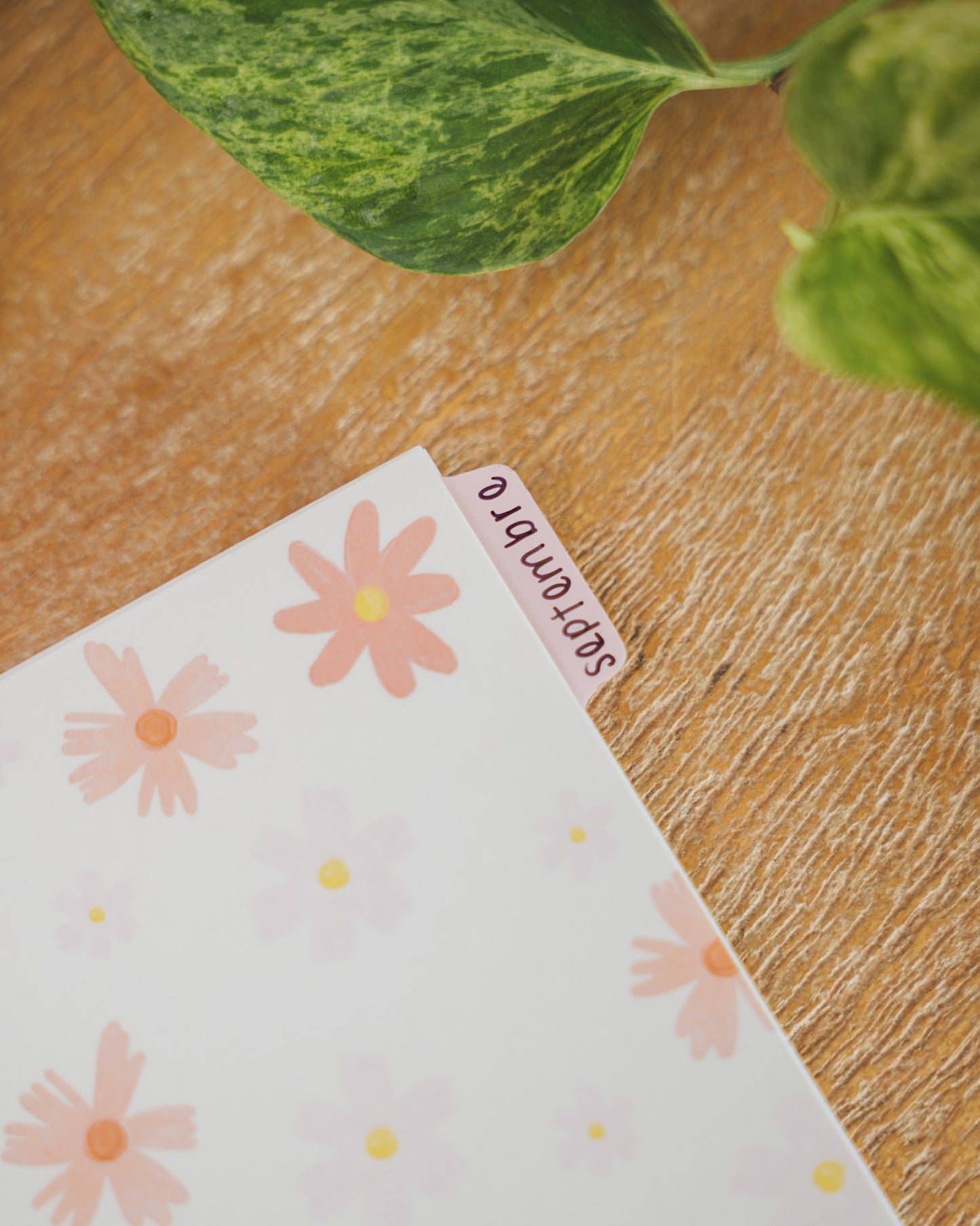 Onglet séparateur translucide