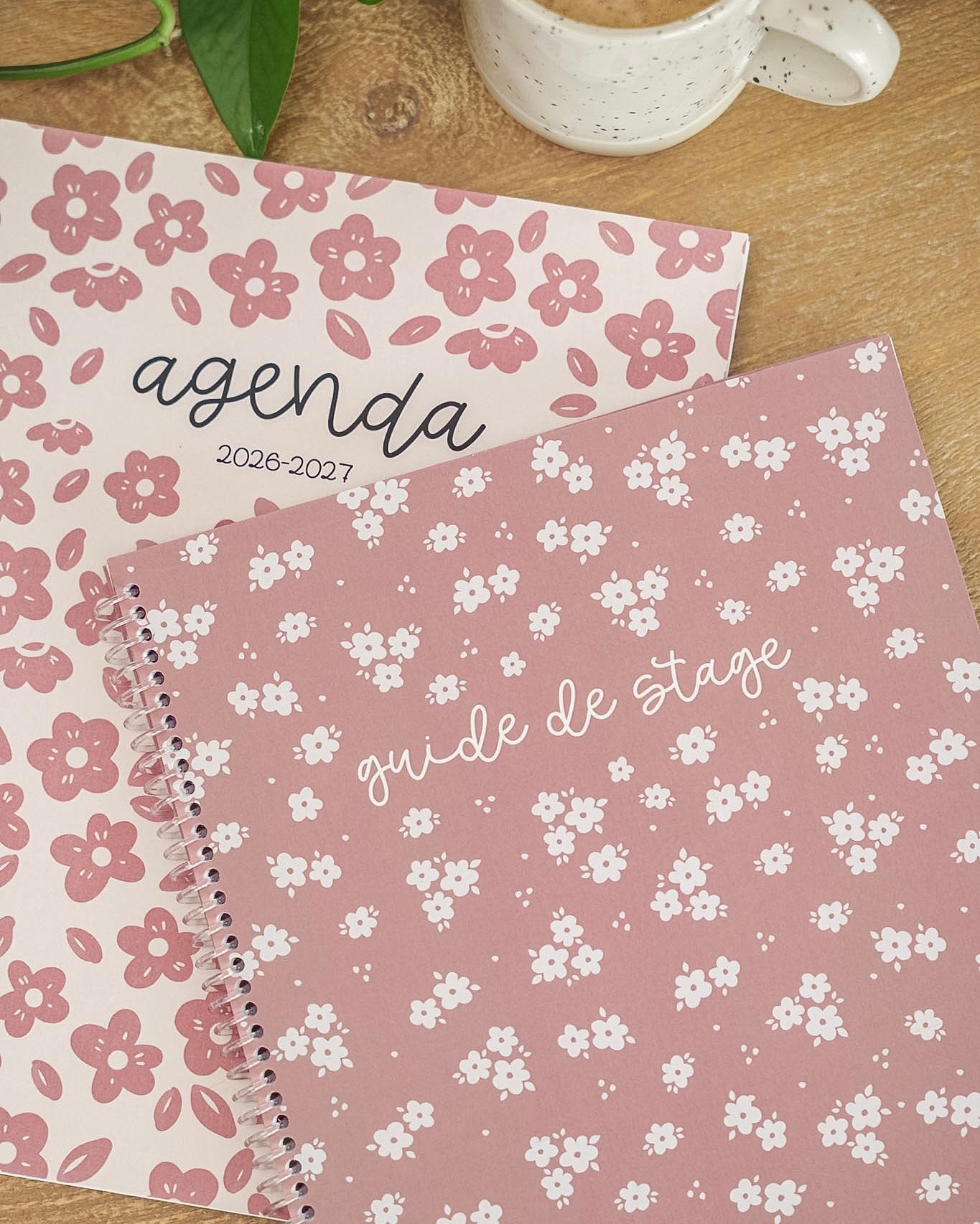 Agenda étudiante (sans stage)