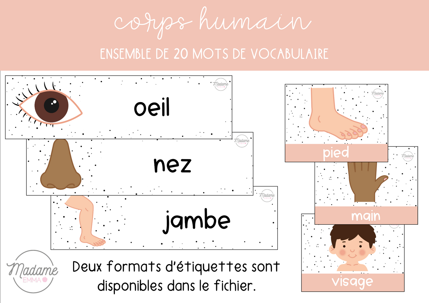 Vocabulaire - Corps humain