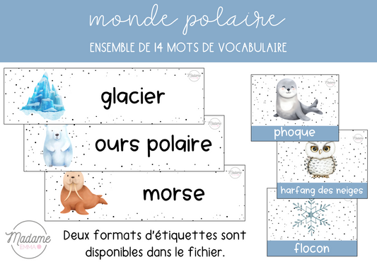 Vocabulaire - Monde polaire