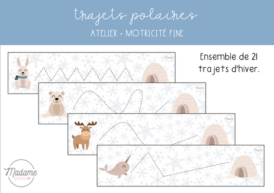 Atelier - Trajets polaires
