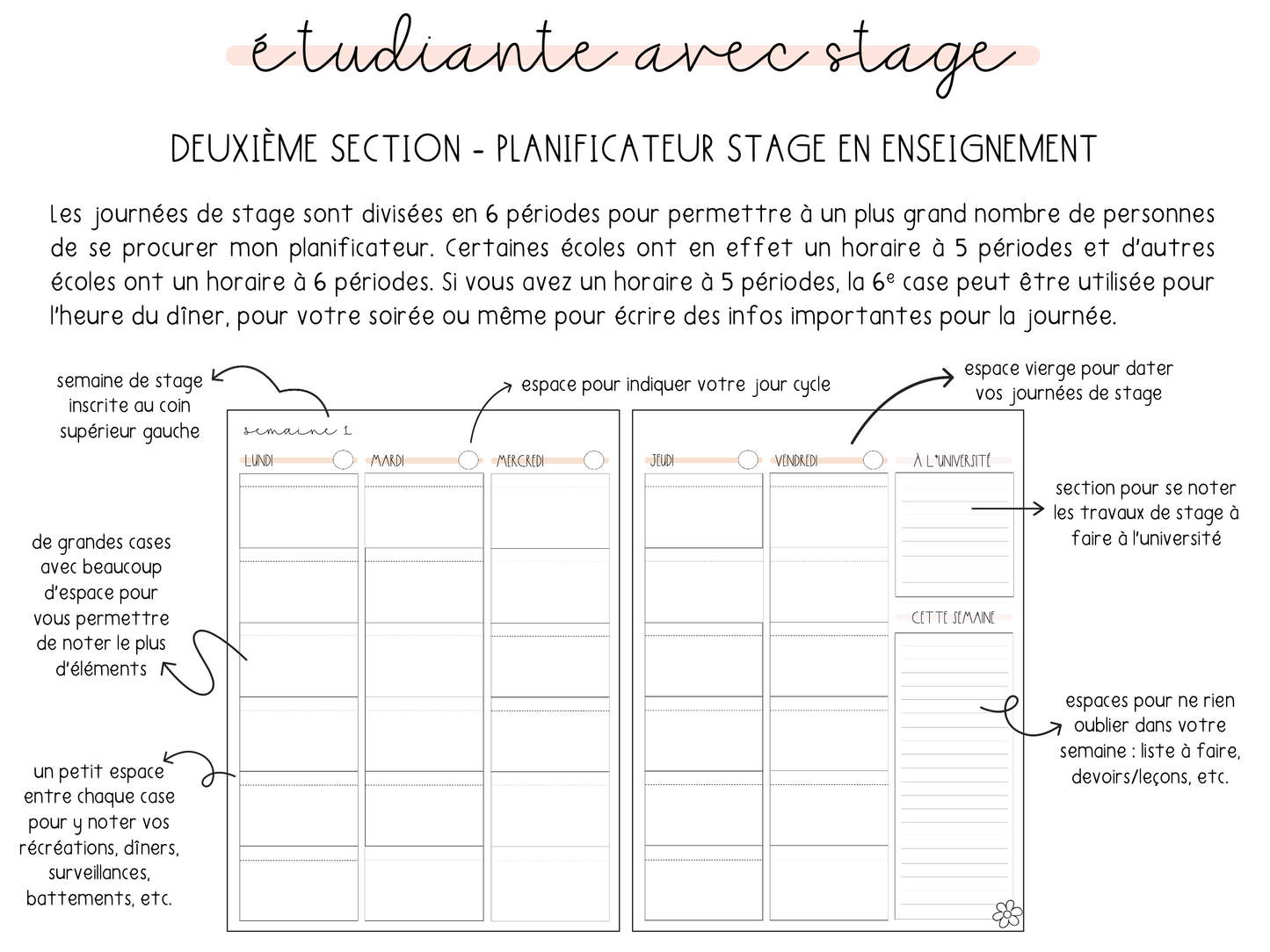 Agenda étudiante + section stage